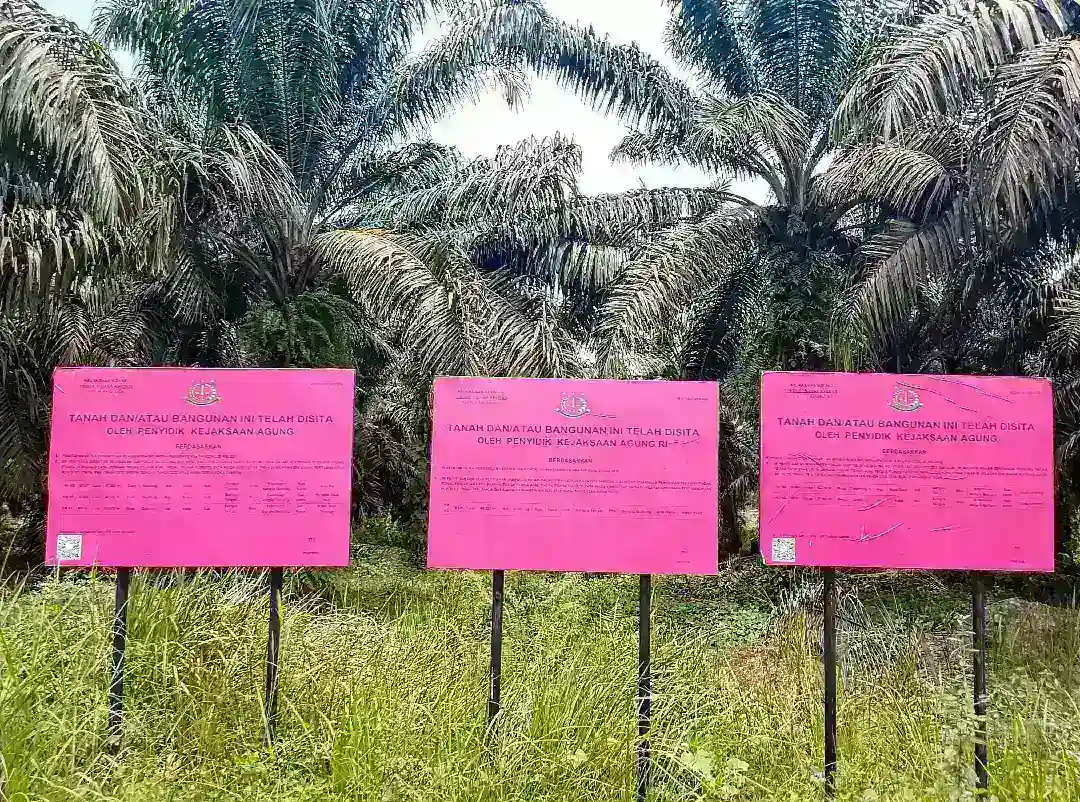 Jeritan Keadilan Kembali Menggema di Desa Penyak, Curi 20 Butir Sawit Ditangkap Sedangkan Truk-Truk Besar Dibiarkan Ambil Sawit Aon: Ada Apa dengan APH?