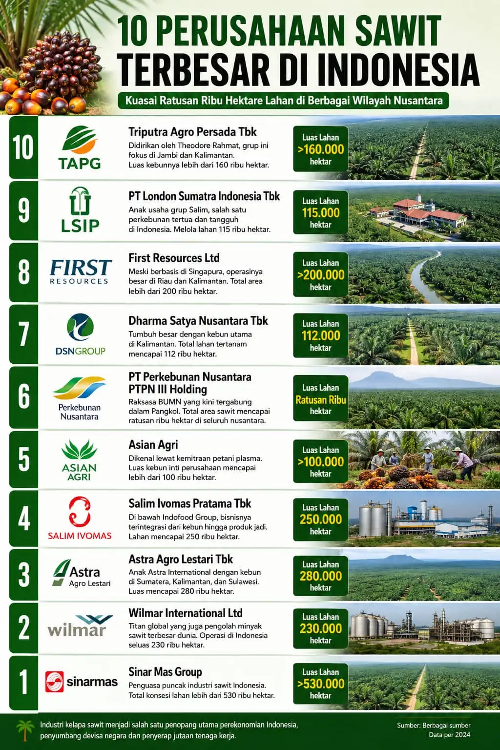 Mengintip 10 Penguasa Industri Sawit Nasional dengan Lahan Terluas